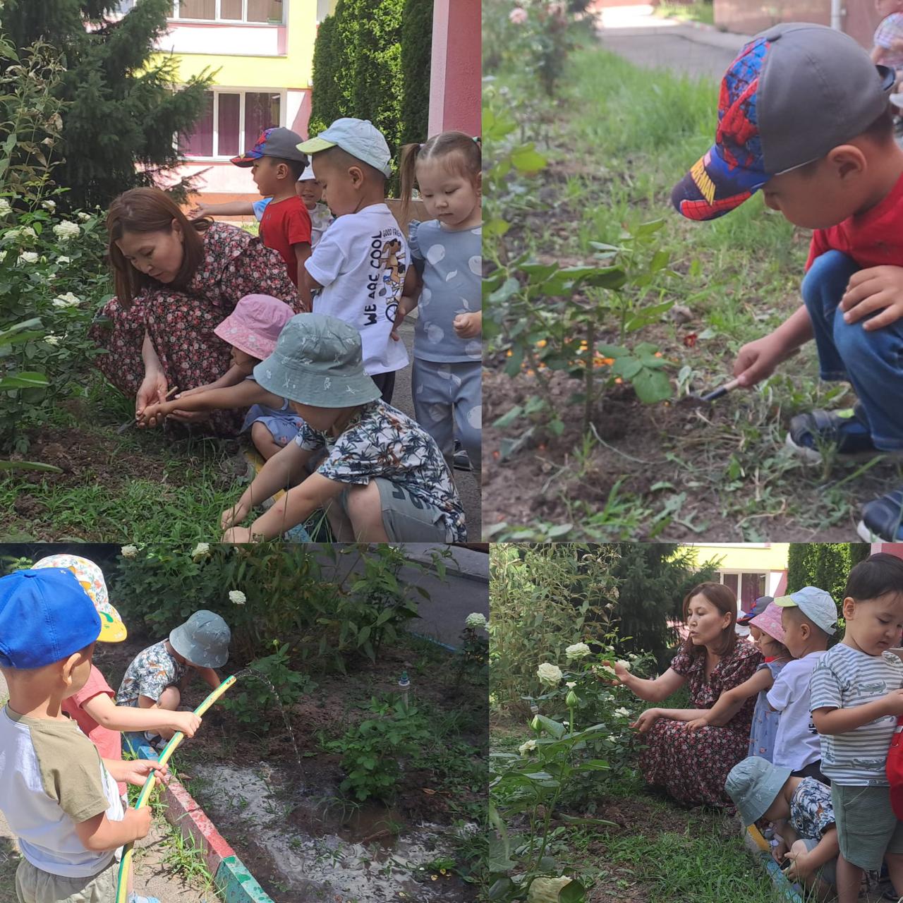 Ортаңғы "Ботақан" тобы  ұйымдастырылған  іс-әрекеті: "Гүлденген табиғат"